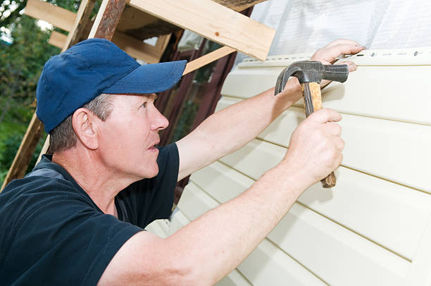 Best Siding Replacement  in Minersville, PA